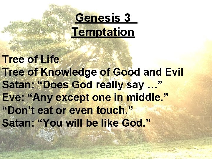 Genesis 3 Temptation Tree of Life Tree of Knowledge of Good and Evil Satan: