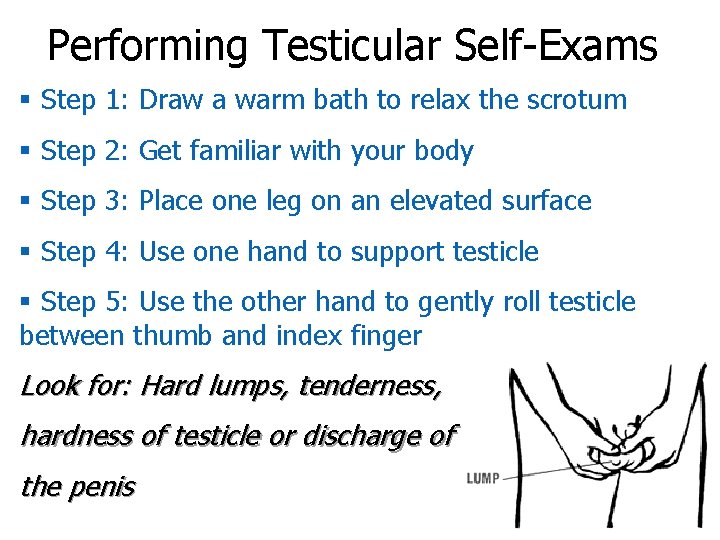 Performing Testicular Self-Exams § Step 1: Draw a warm bath to relax the scrotum