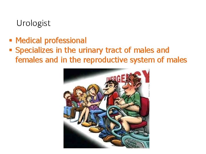 Urologist § Medical professional § Specializes in the urinary tract of males and females