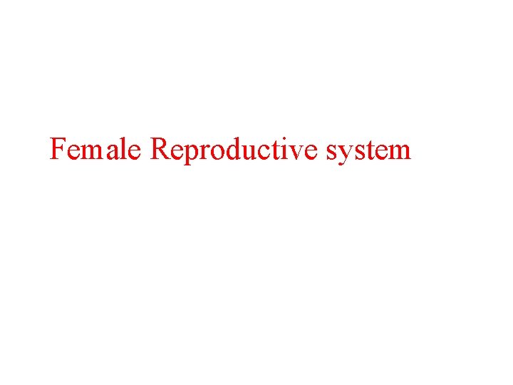 Female Reproductive system 