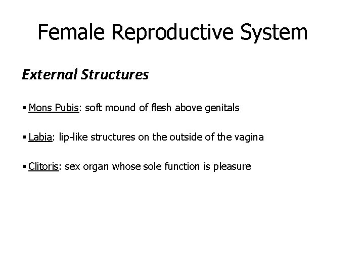 Female Reproductive System External Structures § Mons Pubis: soft mound of flesh above genitals