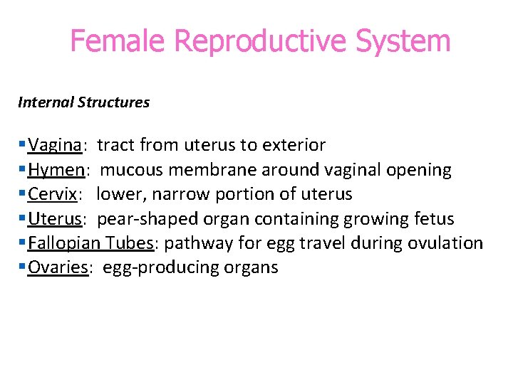 Female Reproductive System Internal Structures §Vagina: tract from uterus to exterior §Hymen: mucous membrane