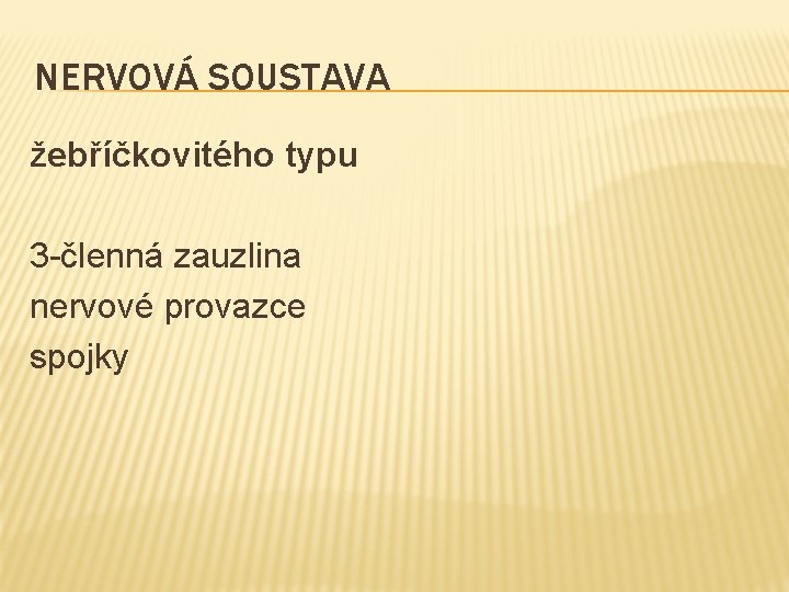 NERVOVÁ SOUSTAVA žebříčkovitého typu 3 -členná zauzlina nervové provazce spojky 