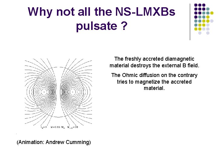 Why not all the NS-LMXBs pulsate ? The freshly accreted diamagnetic material destroys the