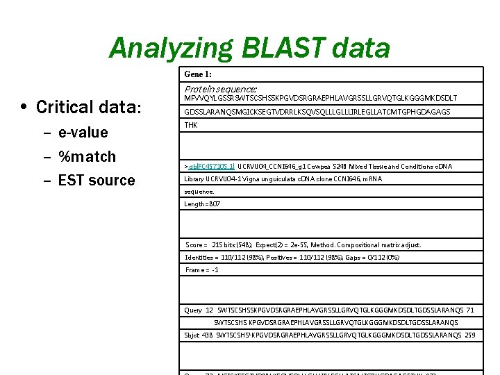 Analyzing BLAST data Gene 1: Protein sequence: • Critical data: – e-value – %match