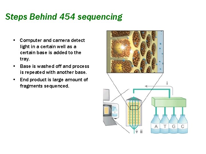 Steps Behind 454 sequencing • Computer and camera detect light in a certain well