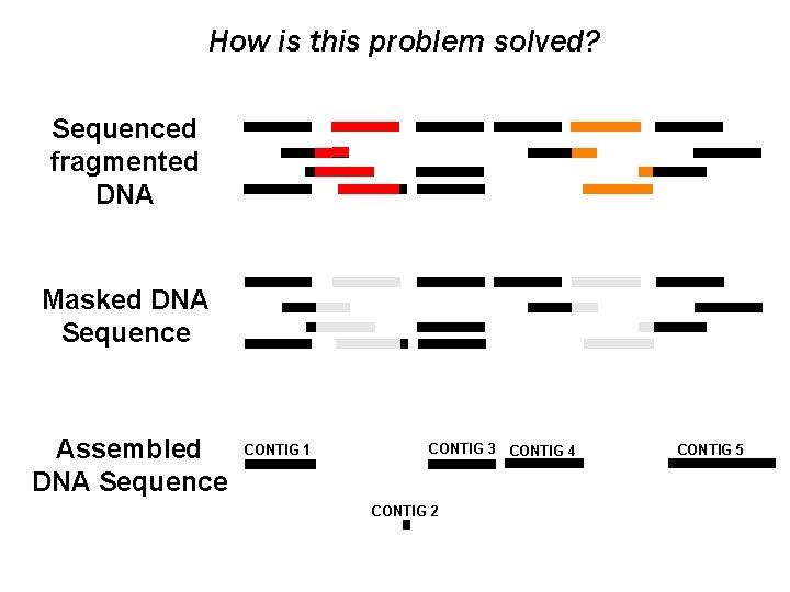 How is this problem solved? Sequenced fragmented DNA Masked DNA Sequence Assembled DNA Sequence