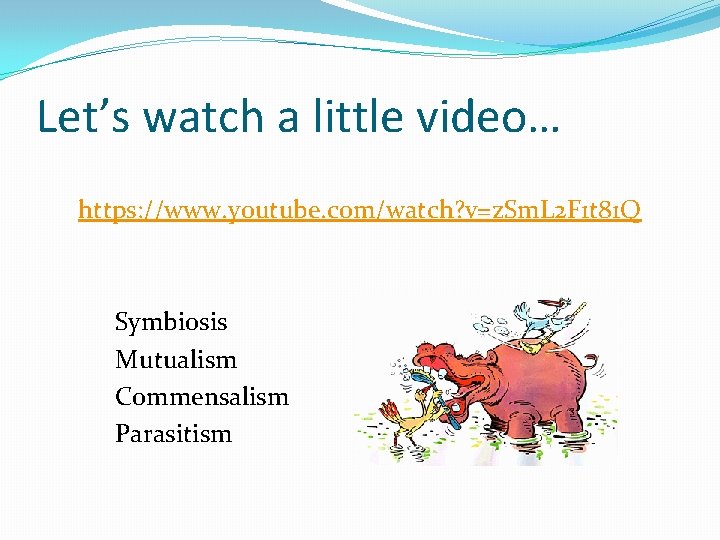 Let’s watch a little video… https: //www. youtube. com/watch? v=z. Sm. L 2 F