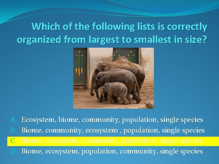 Which of the following lists is correctly organized from largest to smallest in size?