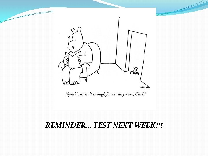 REMINDER… TEST NEXT WEEK!!! 