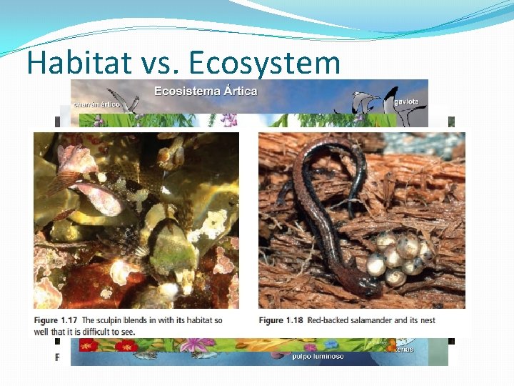 1 2 Ecosystems Habitat vs Ecosystem OXYGEN Plants
