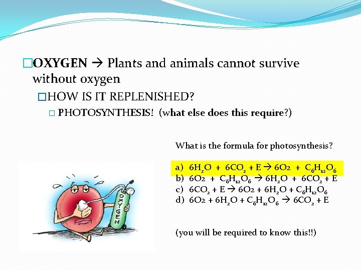 �OXYGEN Plants and animals cannot survive without oxygen �HOW IS IT REPLENISHED? � PHOTOSYNTHESIS!