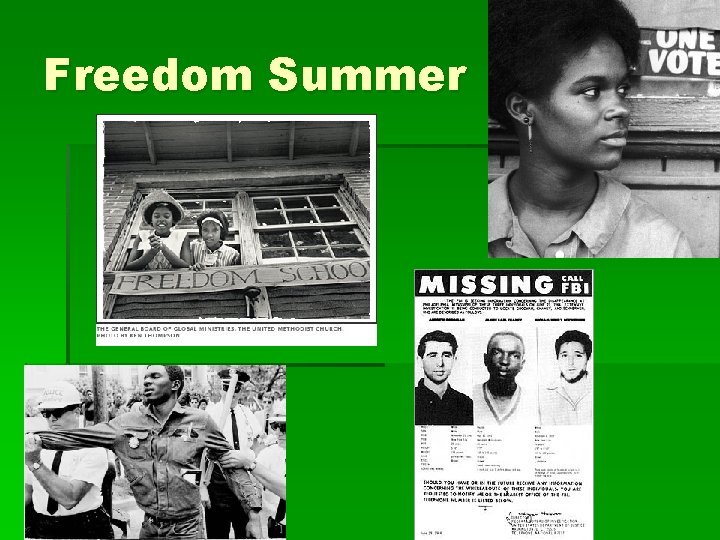 Freedom Summer 