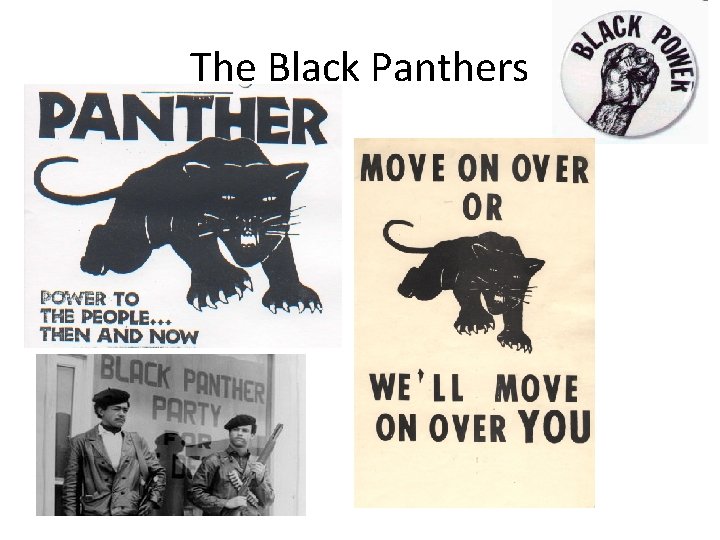 The Black Panthers 