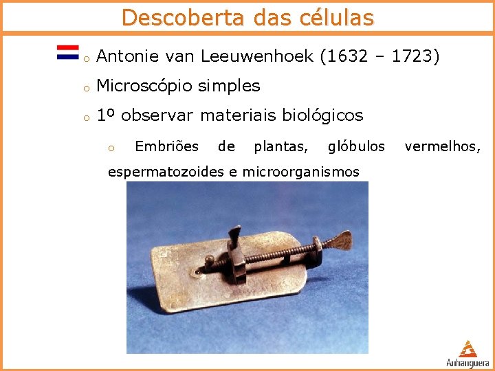 Descoberta das células o Antonie van Leeuwenhoek (1632 – 1723) o Microscópio simples o