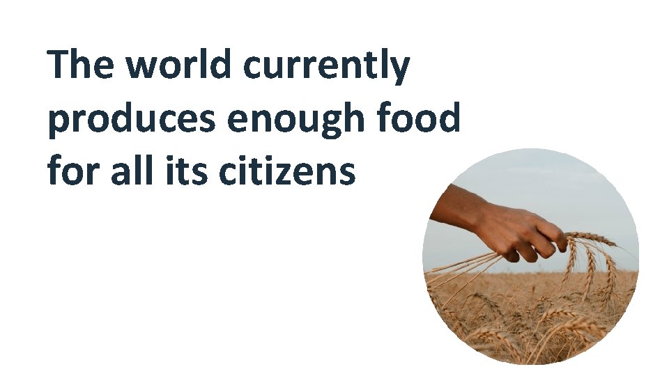 The world currently produces enough food for all its citizens 