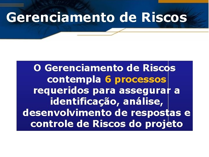 Gerenciamento de Riscos O Gerenciamento de Riscos contempla 6 processos requeridos para assegurar a