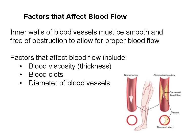 Factors that Affect Blood Flow Inner walls of blood vessels must be smooth and