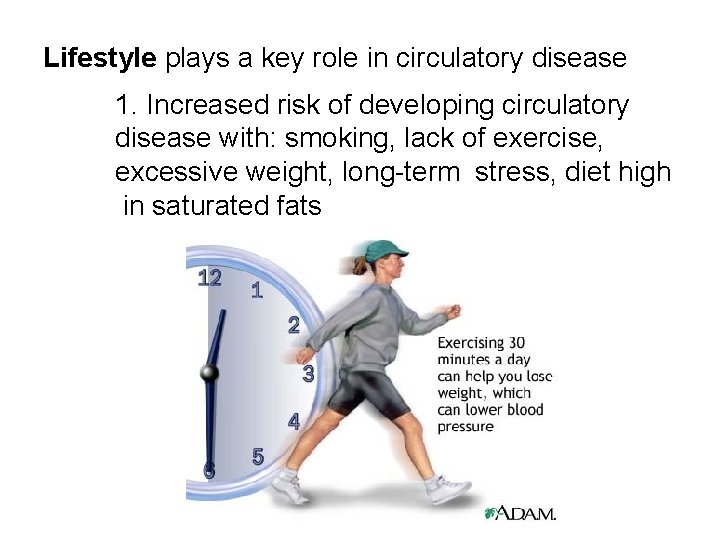 Lifestyle plays a key role in circulatory disease 1. Increased risk of developing circulatory