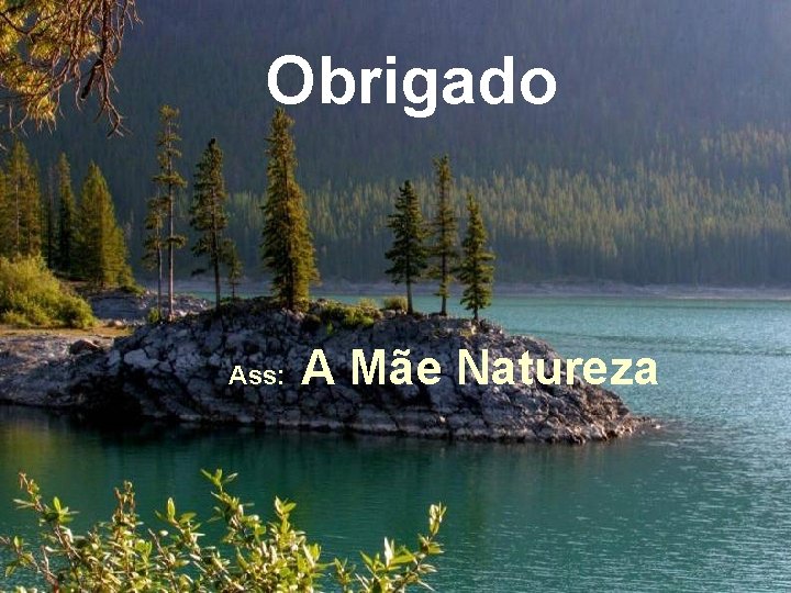 Obrigado Ass: A Mãe Natureza 