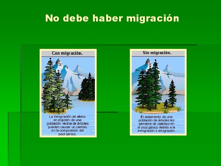 No debe haber migración 