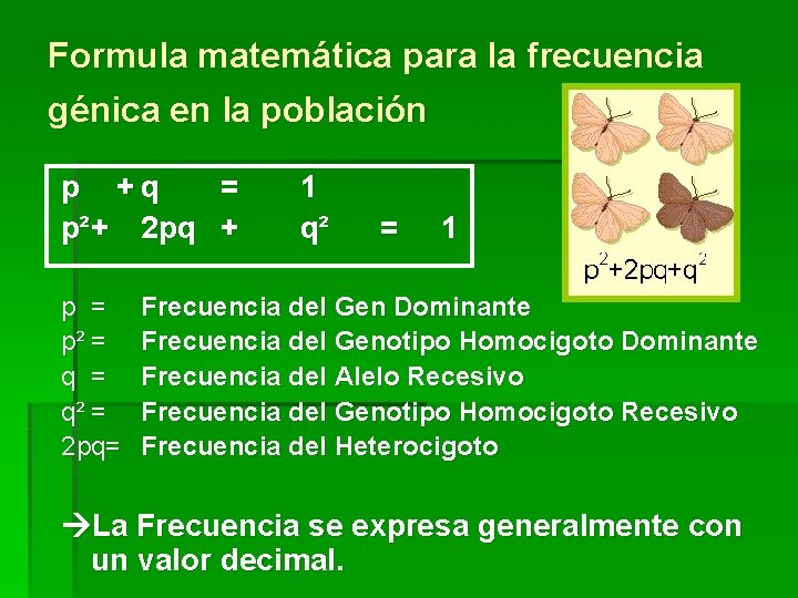 Formula matemática para la frecuencia génica en la población p +q = p²+ 2