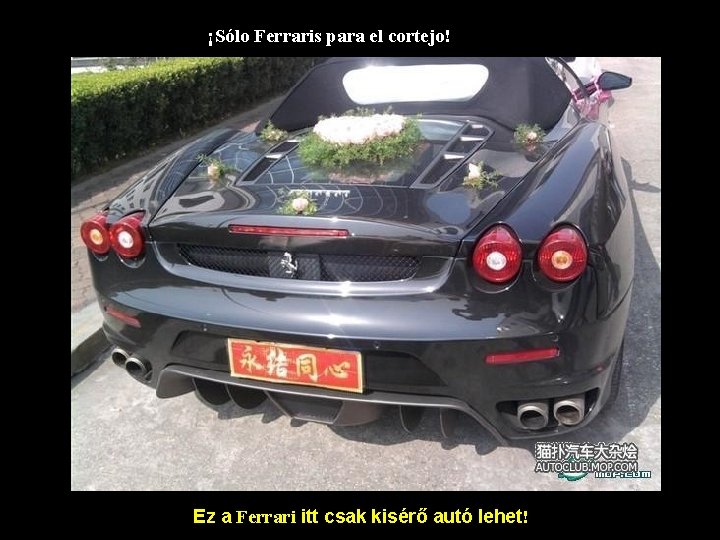 ¡Sólo Ferraris para el cortejo! Ez a Ferrari itt csak kisérő autó lehet! 