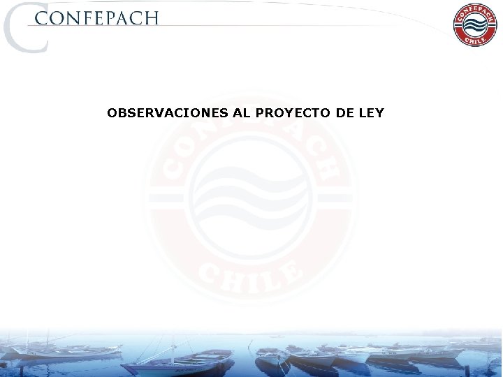 OBSERVACIONES AL PROYECTO DE LEY 