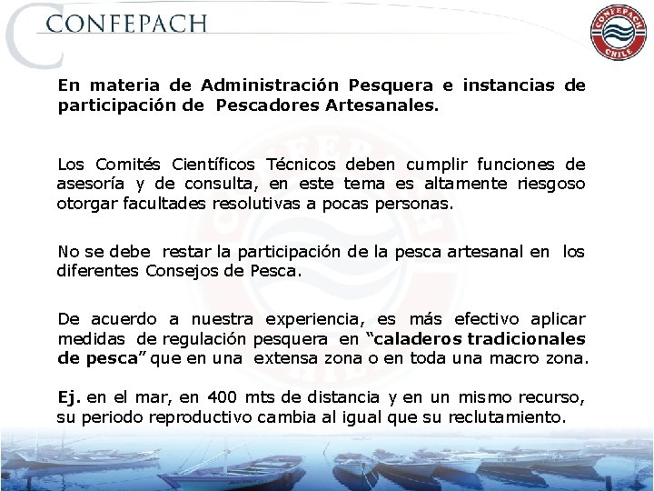 En materia de Administración Pesquera e instancias de participación de Pescadores Artesanales. Los Comités