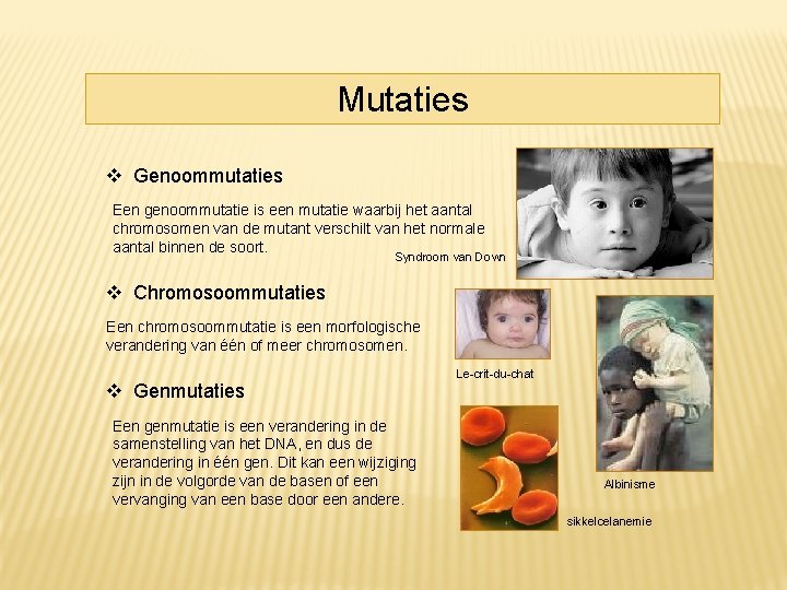 Mutaties Genoommutaties Een genoommutatie is een mutatie waarbij het aantal chromosomen van de mutant