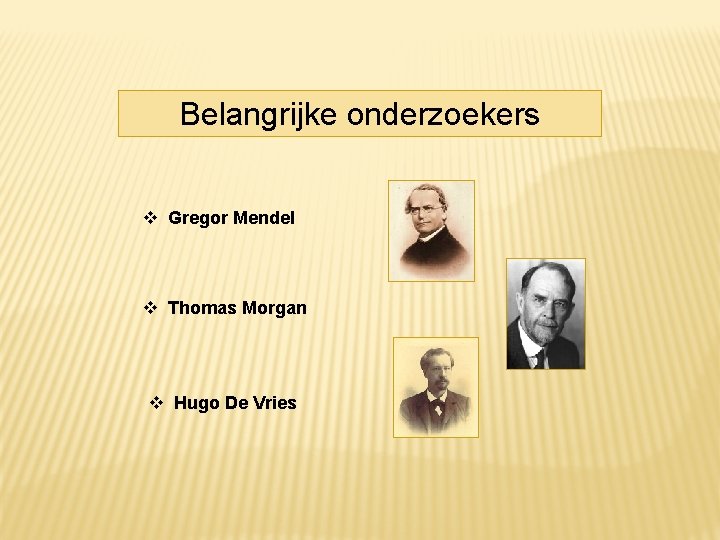 Belangrijke onderzoekers Gregor Mendel Thomas Morgan Hugo De Vries 