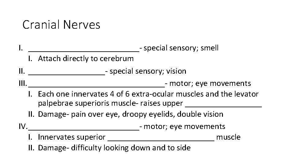Cranial Nerves I. _____________- special sensory; smell I. Attach directly to cerebrum II. _________- Cranial Nerves I. _____________- special sensory; smell I. Attach directly to cerebrum II. _________-