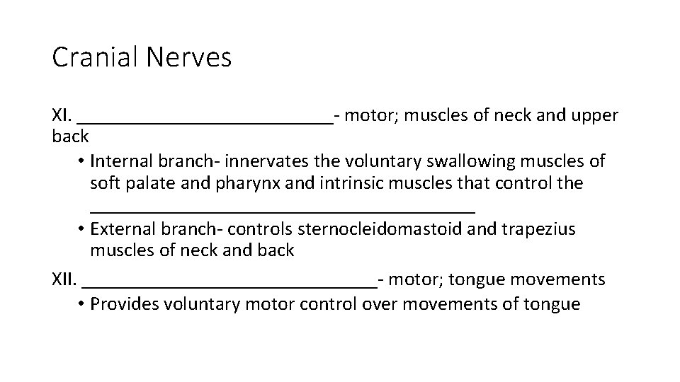 Cranial Nerves XI. _____________- motor; muscles of neck and upper back • Internal branch- Cranial Nerves XI. _____________- motor; muscles of neck and upper back • Internal branch-