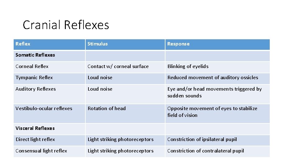 Cranial Reflexes Reflex Stimulus Response Corneal Reflex Contact w/ corneal surface Blinking of eyelids Cranial Reflexes Reflex Stimulus Response Corneal Reflex Contact w/ corneal surface Blinking of eyelids