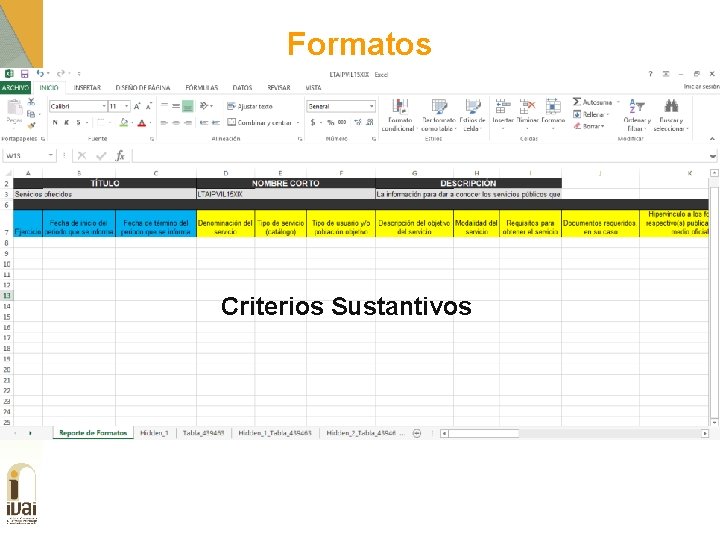 Formatos Criterios Sustantivos 