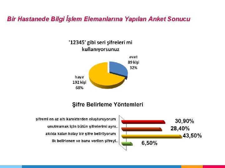 Bir Hastanede Bilgi İşlem Elemanlarına Yapılan Anket Sonucu 