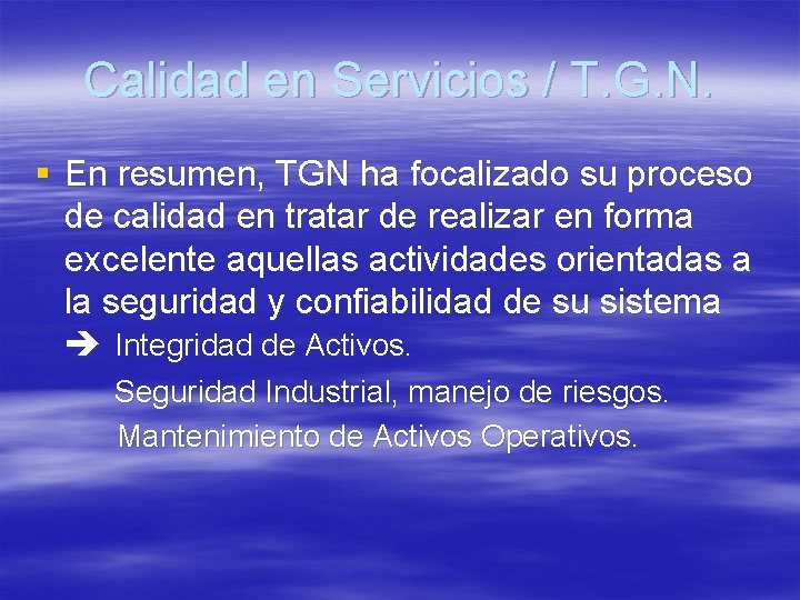 Calidad en Servicios / T. G. N. § En resumen, TGN ha focalizado su