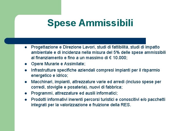Spese Ammissibili l l l Progettazione e Direzione Lavori, studi di fattibilità, studi di