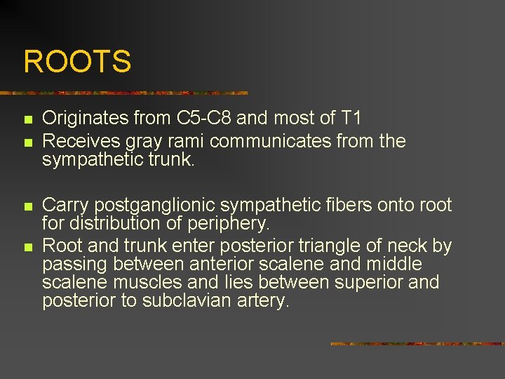 ROOTS n n Originates from C 5 -C 8 and most of T 1