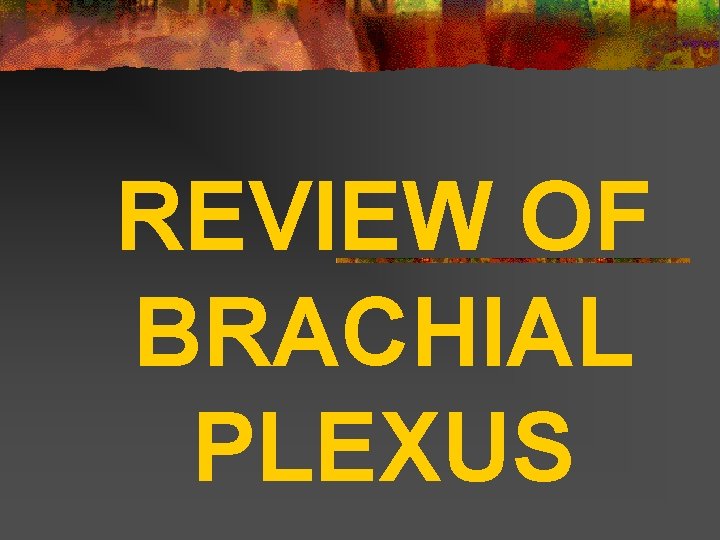 REVIEW OF BRACHIAL PLEXUS 
