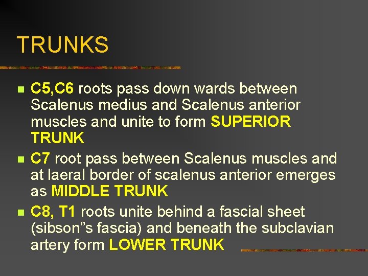 TRUNKS n n n C 5, C 6 roots pass down wards between Scalenus
