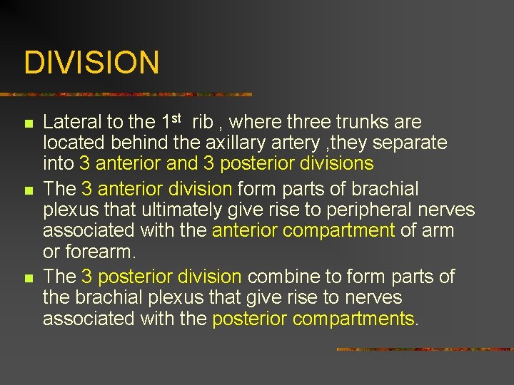 DIVISION n n n Lateral to the 1 st rib , where three trunks
