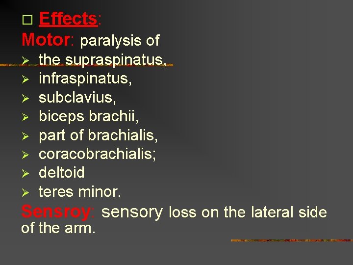 Effects: Motor: paralysis of � Ø Ø Ø Ø the supraspinatus, infraspinatus, subclavius, biceps