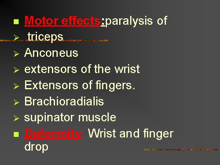 n Ø Ø Ø n Motor effects: paralysis of triceps Anconeus extensors of the