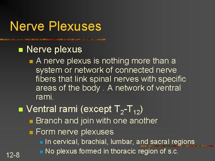 Nerve Plexuses n Nerve plexus n n A nerve plexus is nothing more than