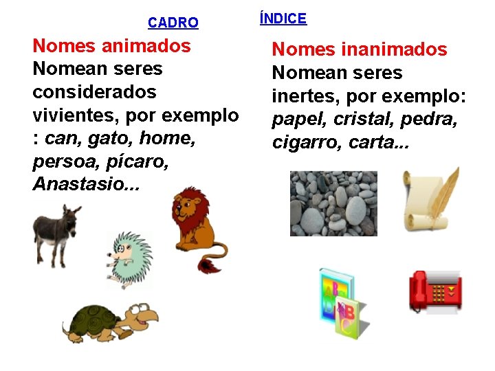 CADRO Nomes animados Nomean seres considerados vivientes, por exemplo : can, gato, home, persoa,