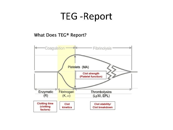 TEG -Report 