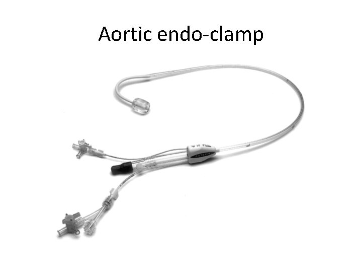 Aortic endo-clamp 