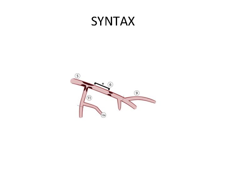 SYNTAX 