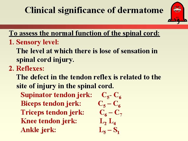 Clinical significance of dermatome To assess the normal function of the spinal cord: 1.